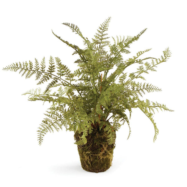 Soft Fern Drop-In 13"