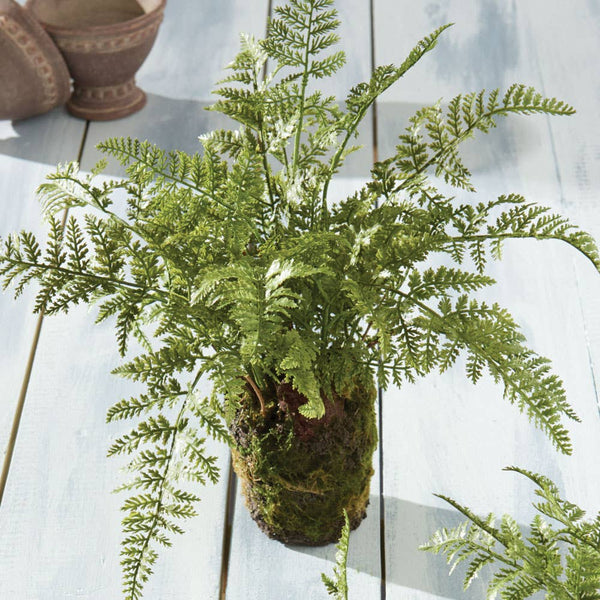 Soft Fern Drop-In 13"