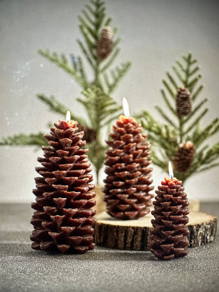 Pine cone candles